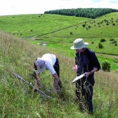 Photo of surveying for the natinoal plant monitoring scheme