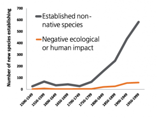Chart showing upward trend of established non-native species